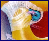 patologia da articula�&atilde;o temporo-mandibular